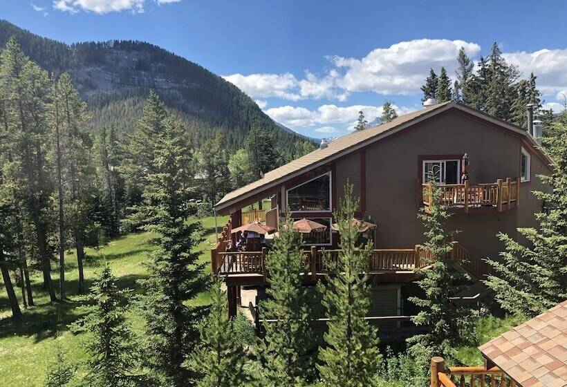 Hi Banff Alpine Centre   Hostel