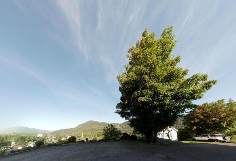 בית מלון כפרי Black Rooster Guesthouse