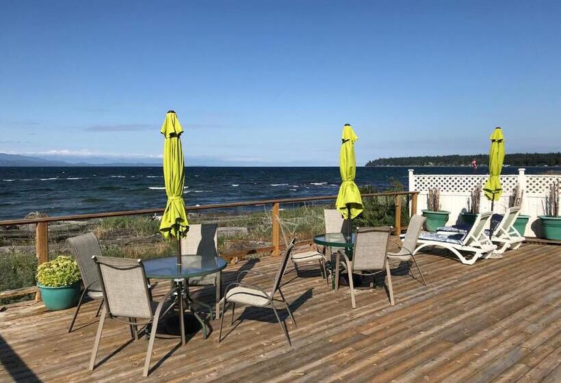 酒店 Buena Vista By The Sea