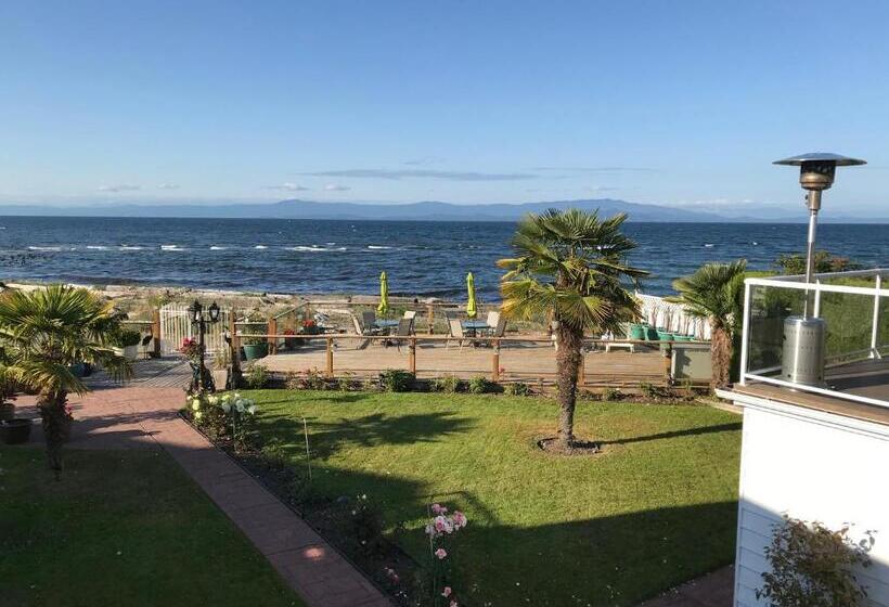 酒店 Buena Vista By The Sea