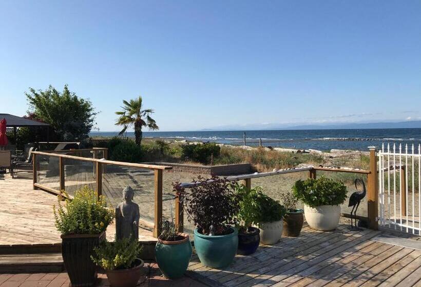 酒店 Buena Vista By The Sea