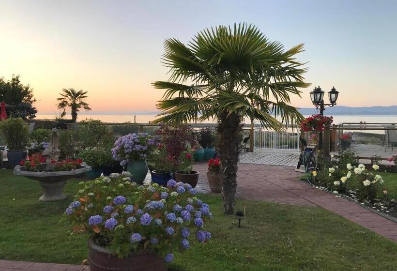 酒店 Buena Vista By The Sea