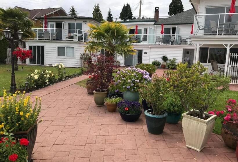 酒店 Buena Vista By The Sea