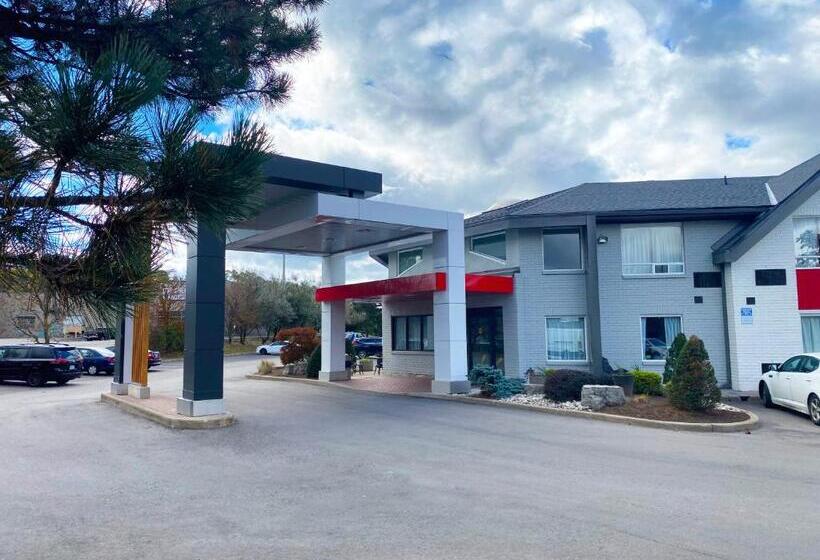 فندق Comfort Inn