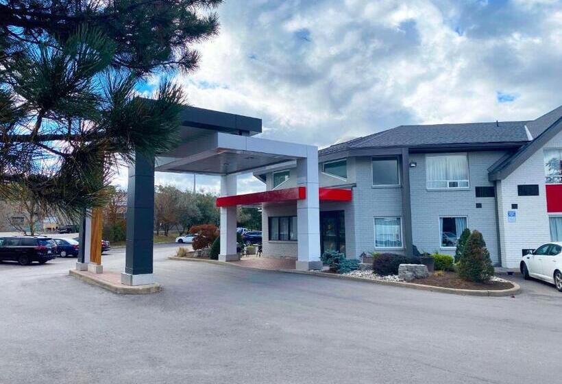 فندق Comfort Inn