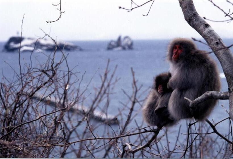 فندق Folkloro Ominato