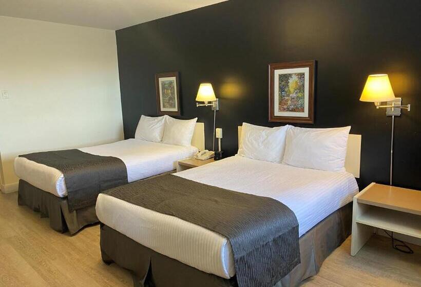 호텔 Hôtel Centre Ville