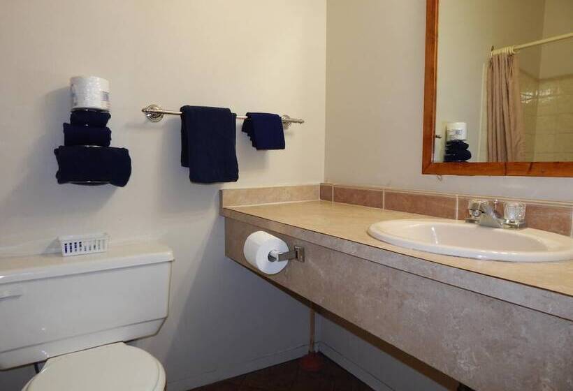 Отель Igloo Inn