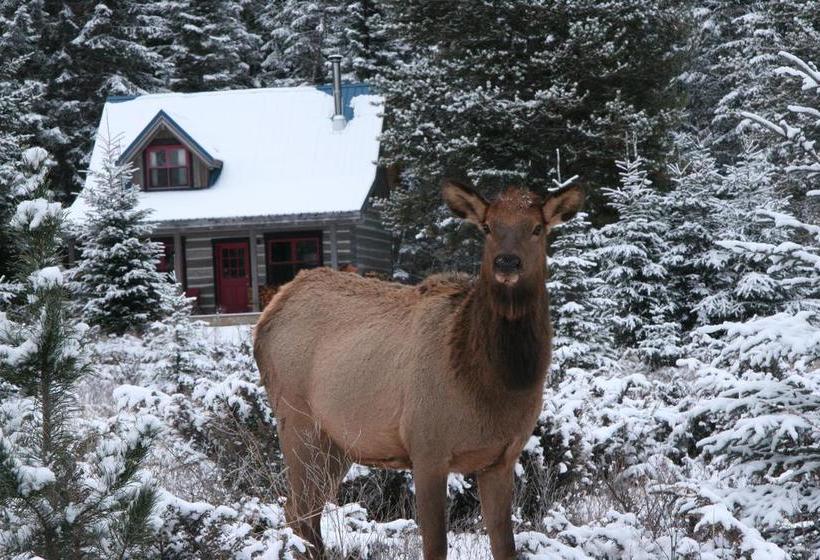 Szálloda Nipika Mountain Resort