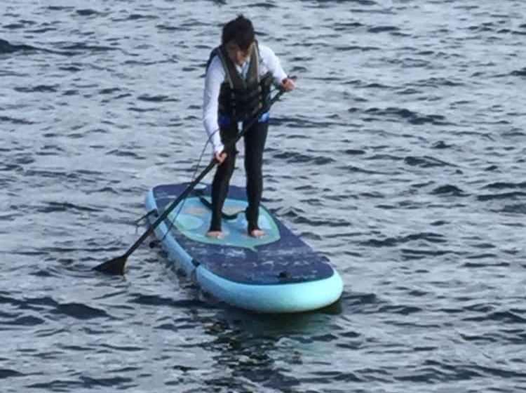 فندق Nojiri Lake Resort