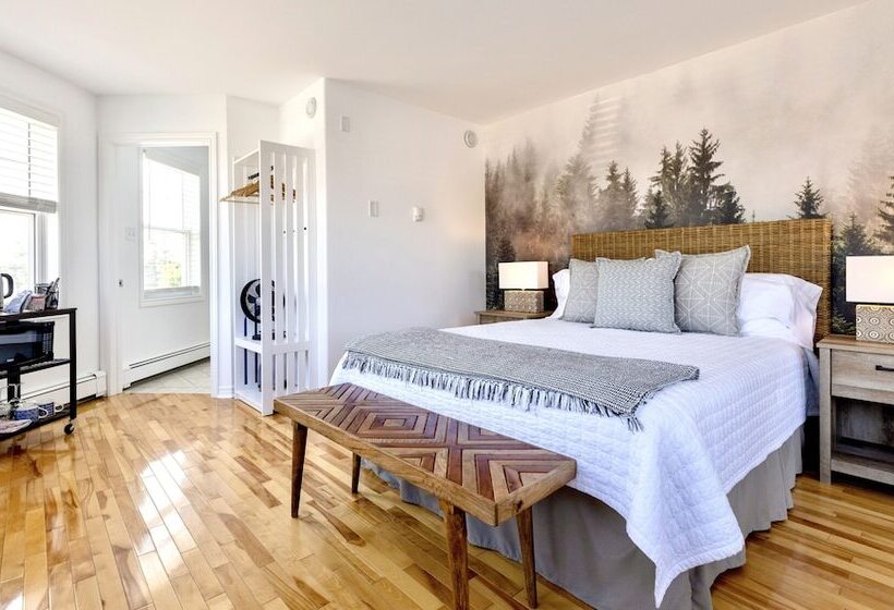 فندق North Star Beach Suites