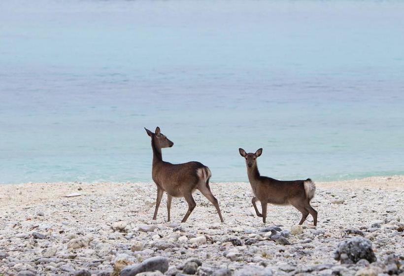 호텔 Pension Seasir