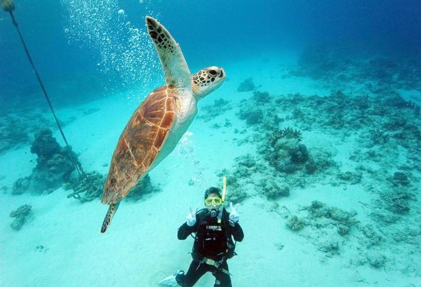 호텔 Pension Seasir