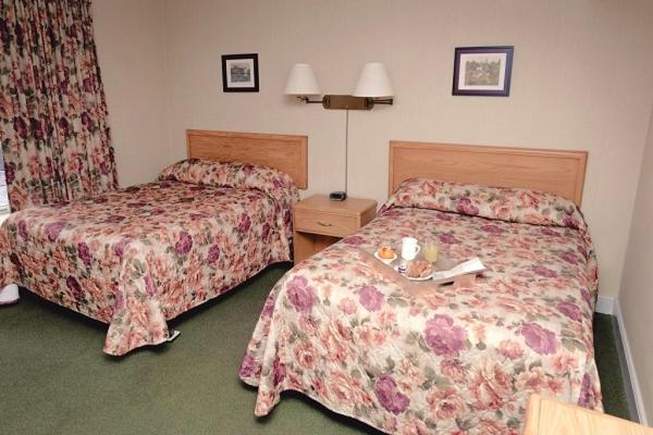 호텔 The Queen's Inn