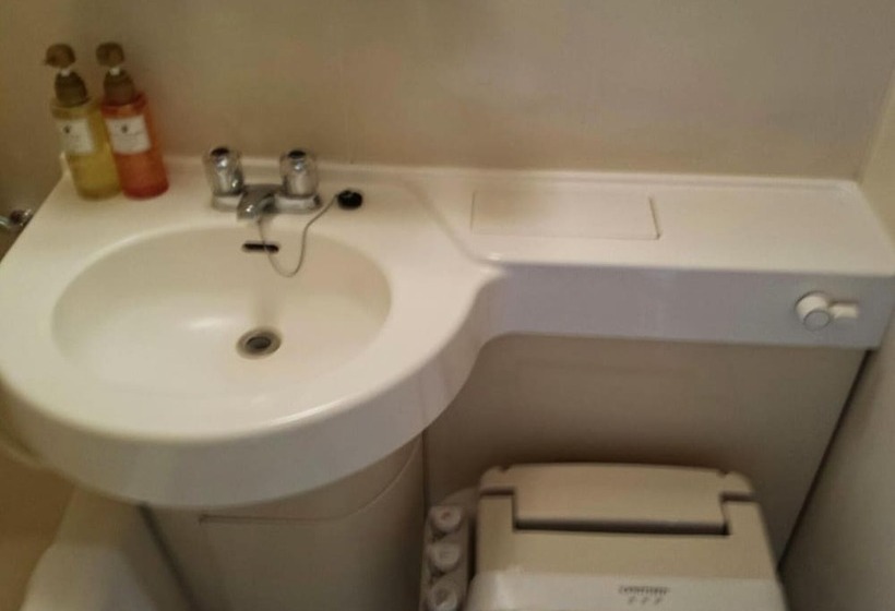 בית מלון כפרי Uwajima Regent