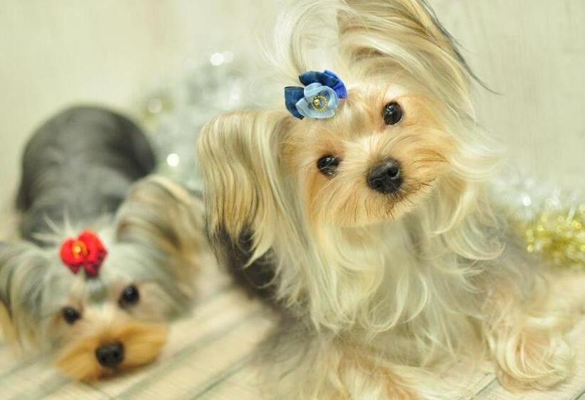 ホテル Villa Ortigia