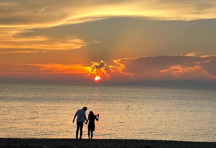 ホテル Villa Ortigia