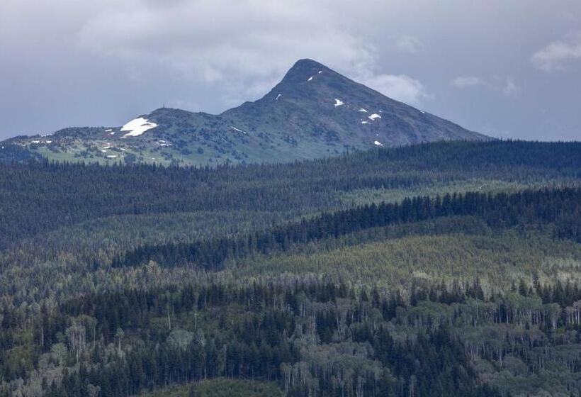 Hummingbird Bed And Breakfast