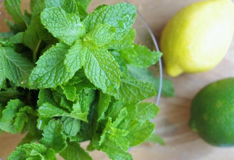 Kinco. Hostel+cafe Takamatsu, Setouchi