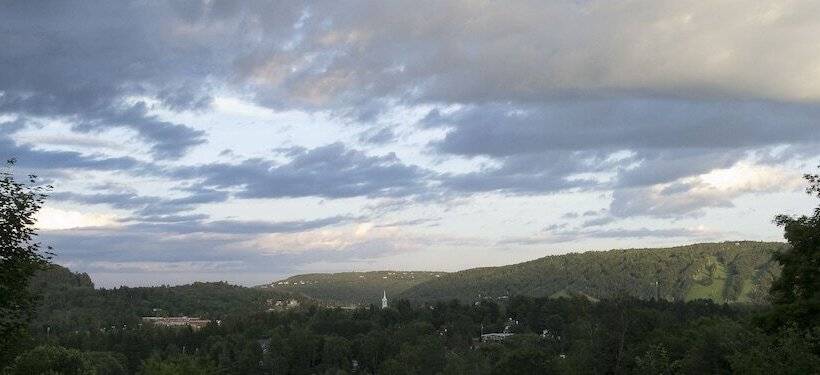 Le Petit Clocher Gite Touristique B & B