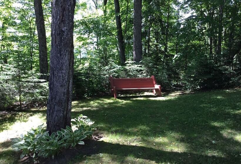 Le Petit Clocher Gite Touristique B & B