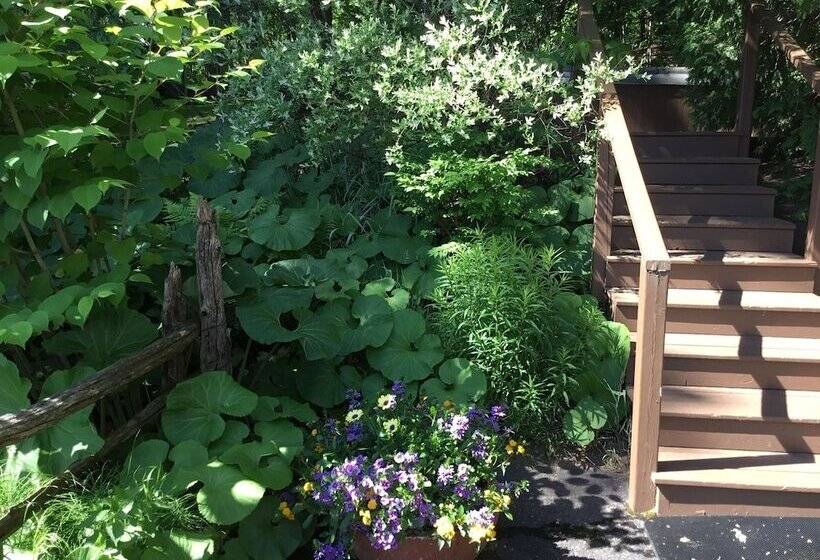 Le Petit Clocher Gite Touristique B & B