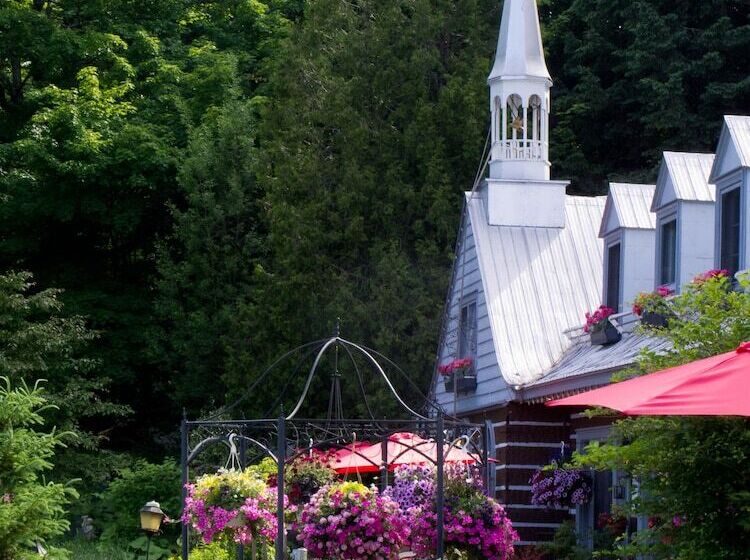 Le Petit Clocher Gite Touristique B & B