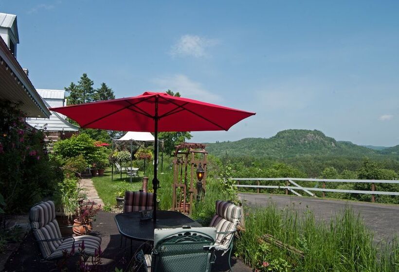 Le Petit Clocher Gite Touristique B & B