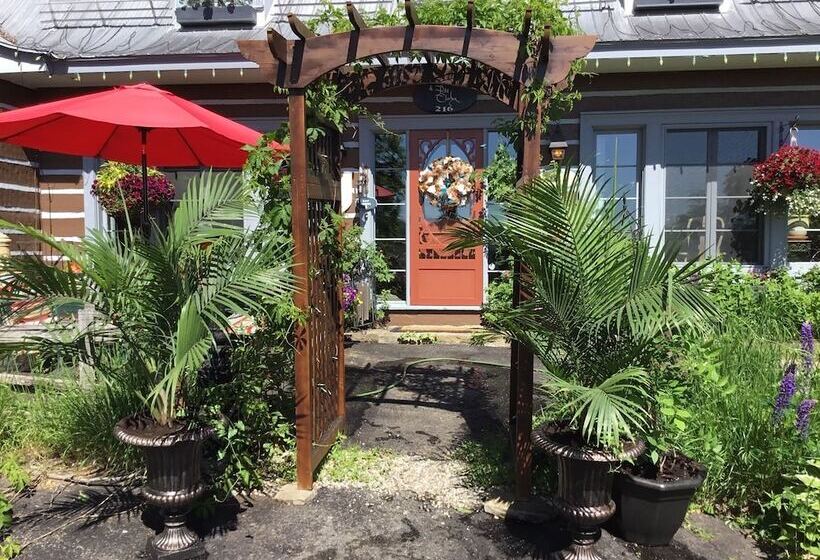 Le Petit Clocher Gite Touristique B & B