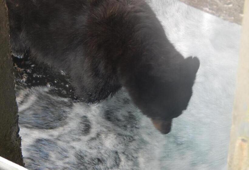 Money Pennies Bed And Breakfast