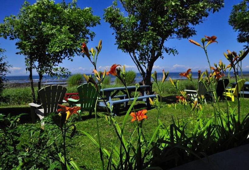 Motel Appartements Le Saint Patrick