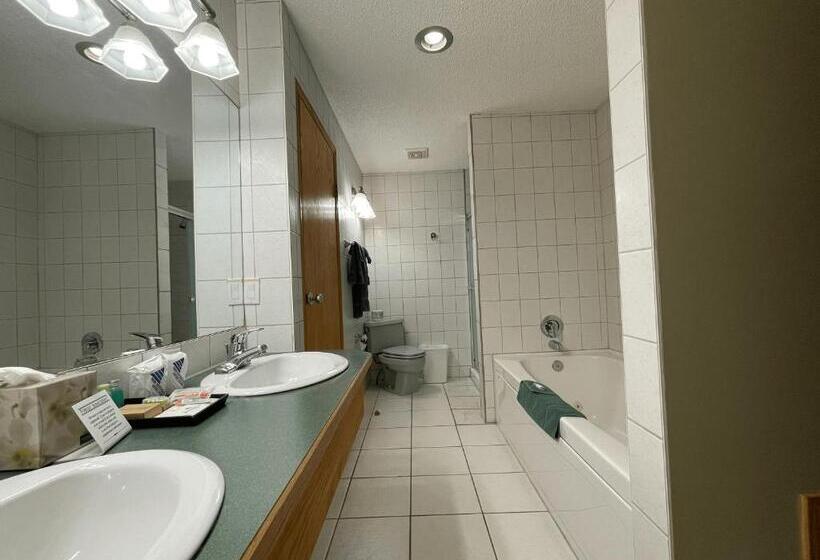 Motel Best Maple Inn  Drayton Valley