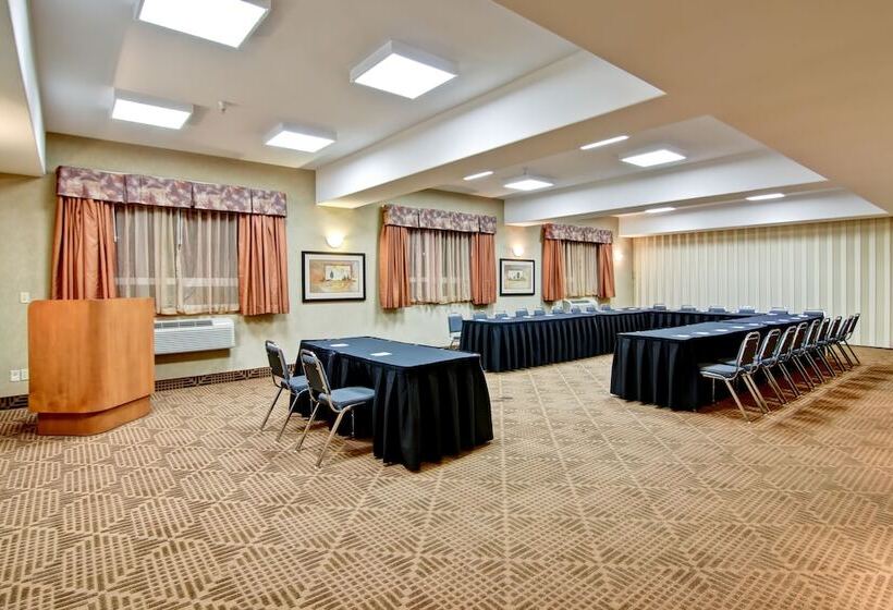 فندق على الطريق Stettler Canalta