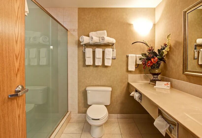 فندق على الطريق Stettler Canalta