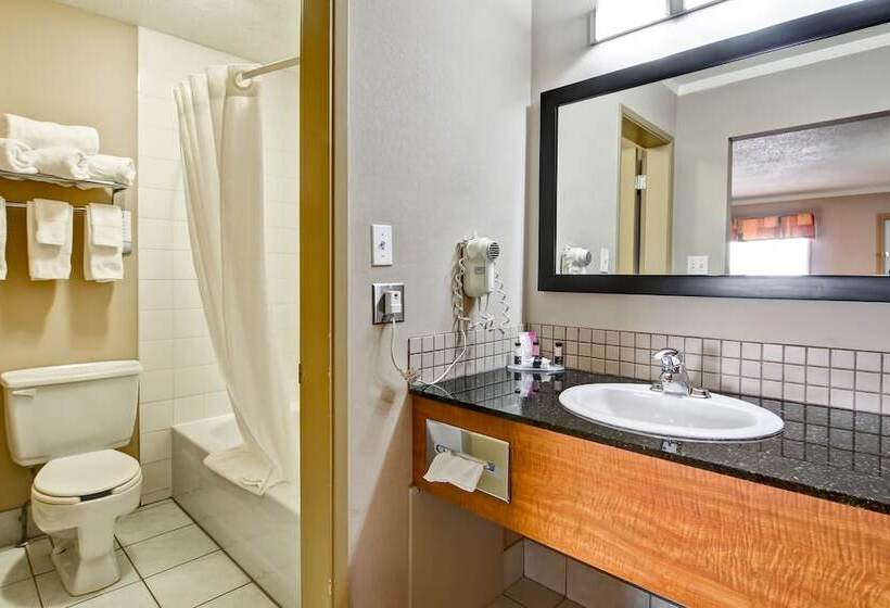 فندق على الطريق Stettler Canalta