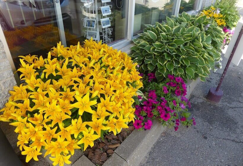 Motel De L'anse A L'eau