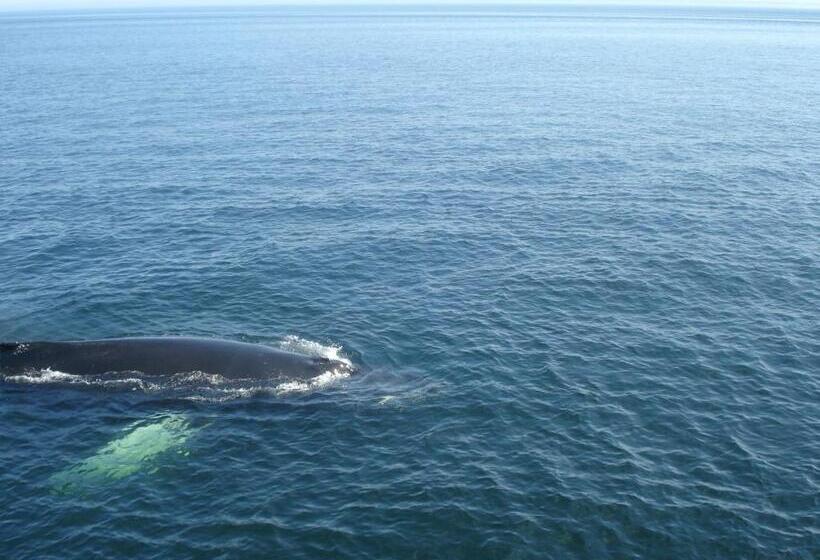 Motel La Maison De Travers