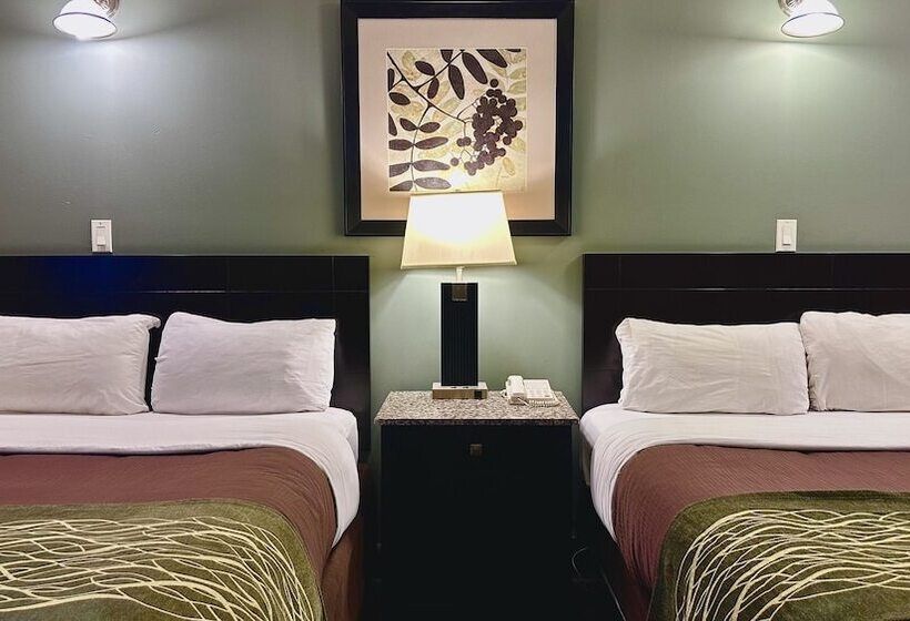 فندق على الطريق Lacombe Motor Inn