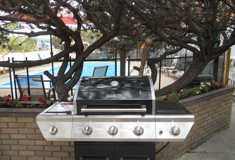 모텔 Lazy Bear Lodge