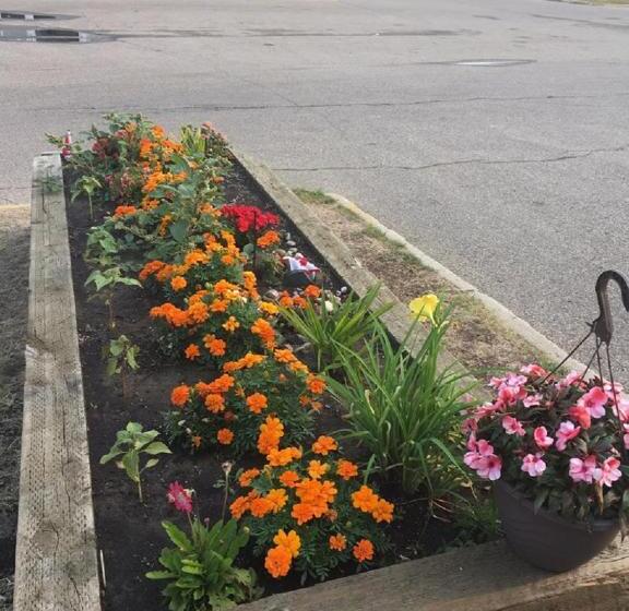 فندق على الطريق Red Deer Inn & Suites