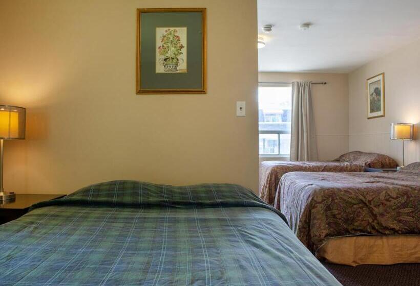 فندق على الطريق Richmond Hill On North