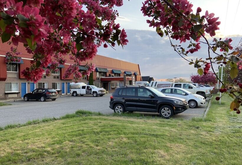 汽车旅馆  Transit