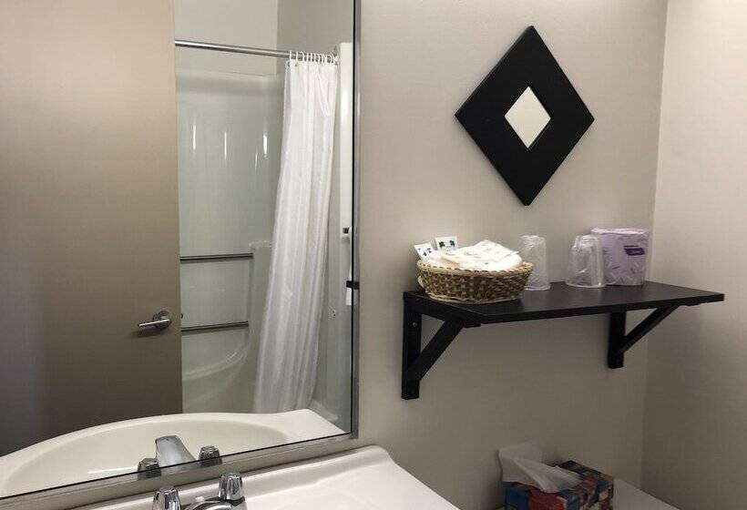 汽车旅馆  Transit