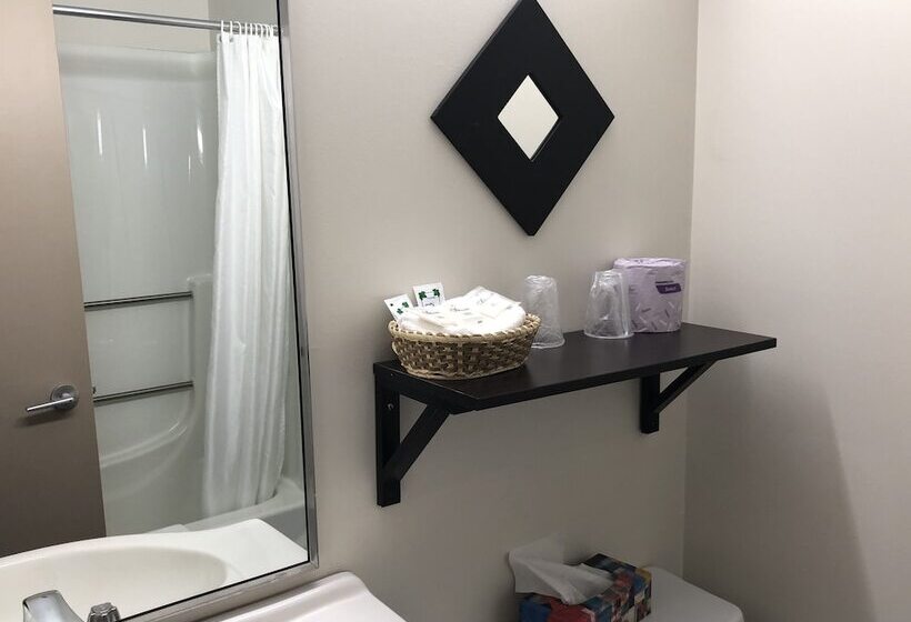 汽车旅馆  Transit