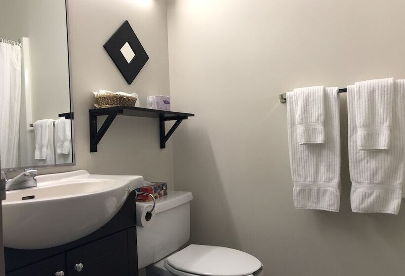 汽车旅馆  Transit