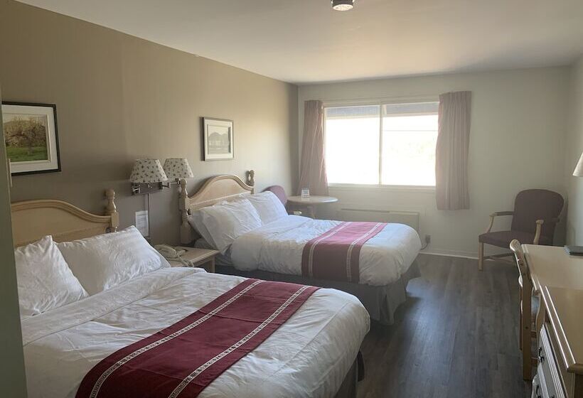 汽车旅馆  Transit