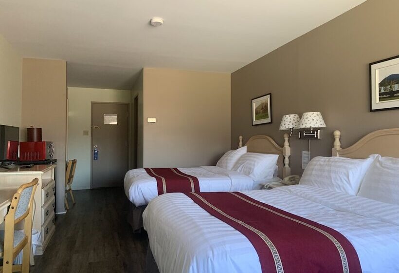 汽车旅馆  Transit