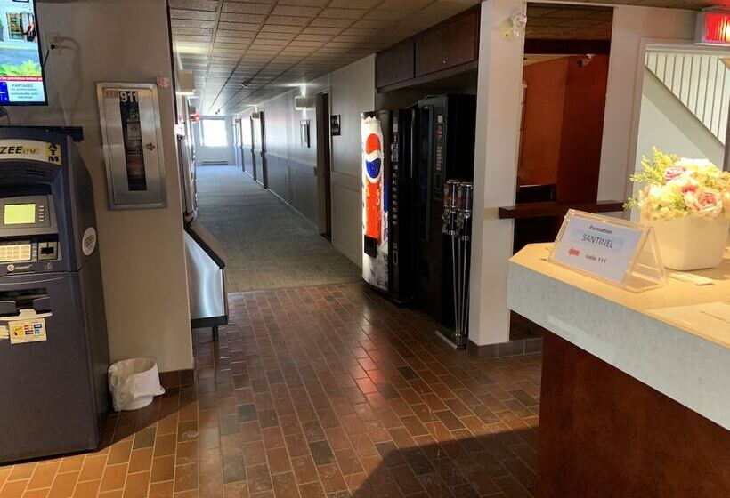 汽车旅馆  Transit