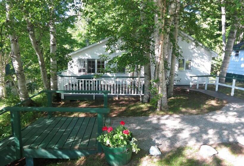 渡假胜地 Birch Cliff Lodge On Baptiste Lake