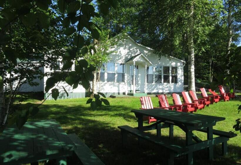 渡假胜地 Birch Cliff Lodge On Baptiste Lake